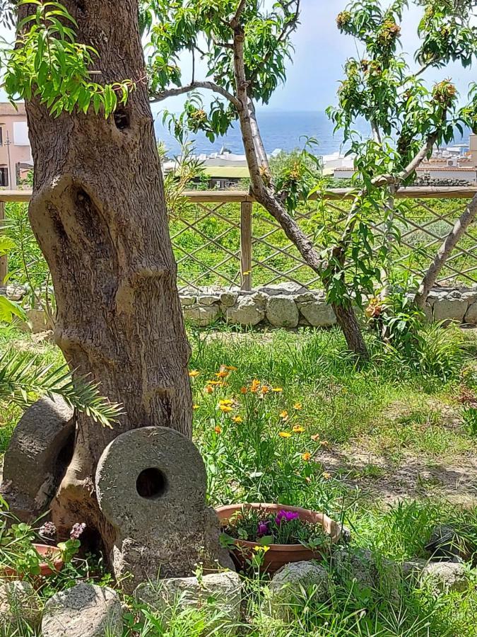 Villa Symphony Sea View Forio di Ischia Exteriér fotografie