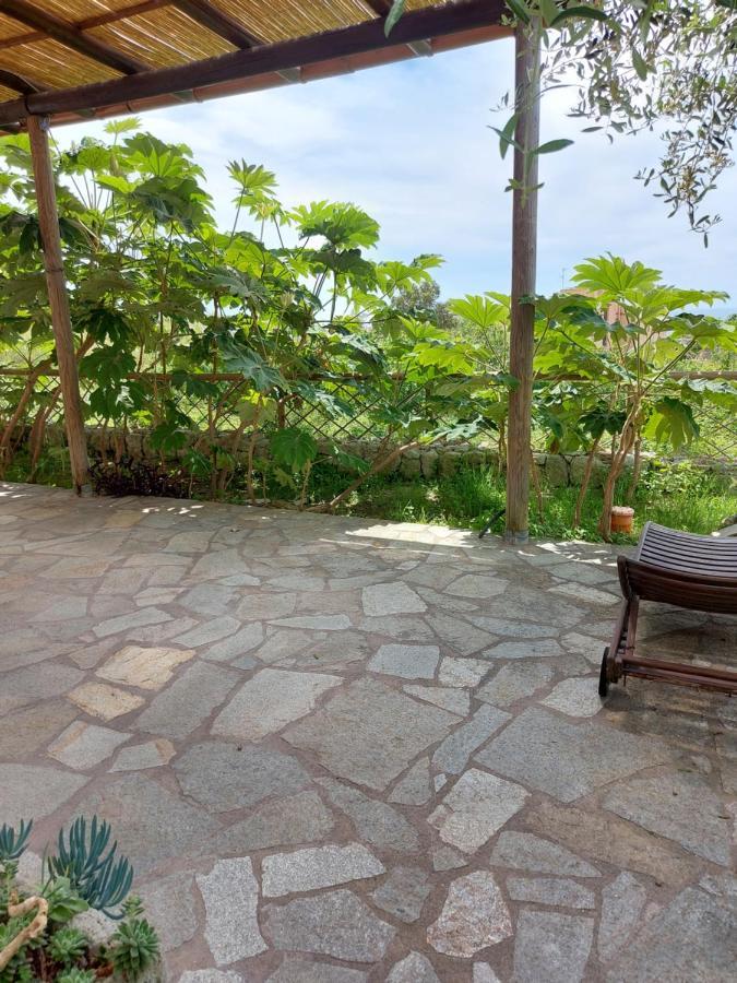 Villa Symphony Sea View Forio di Ischia Exteriér fotografie