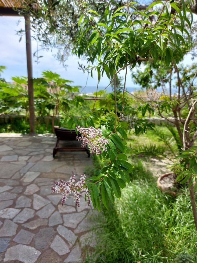 Villa Symphony Sea View Forio di Ischia Exteriér fotografie