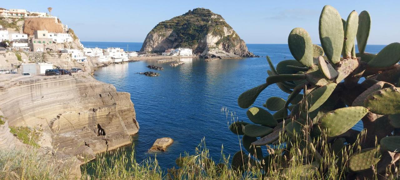 Villa Symphony Sea View Forio di Ischia Exteriér fotografie