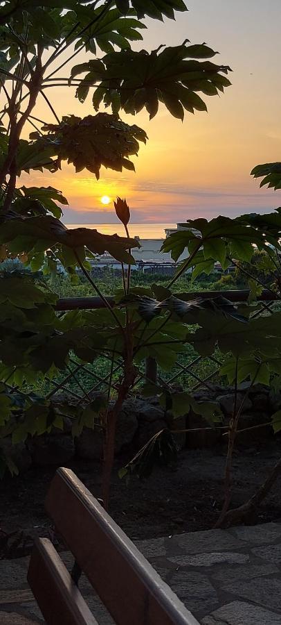 Villa Symphony Sea View Forio di Ischia Exteriér fotografie