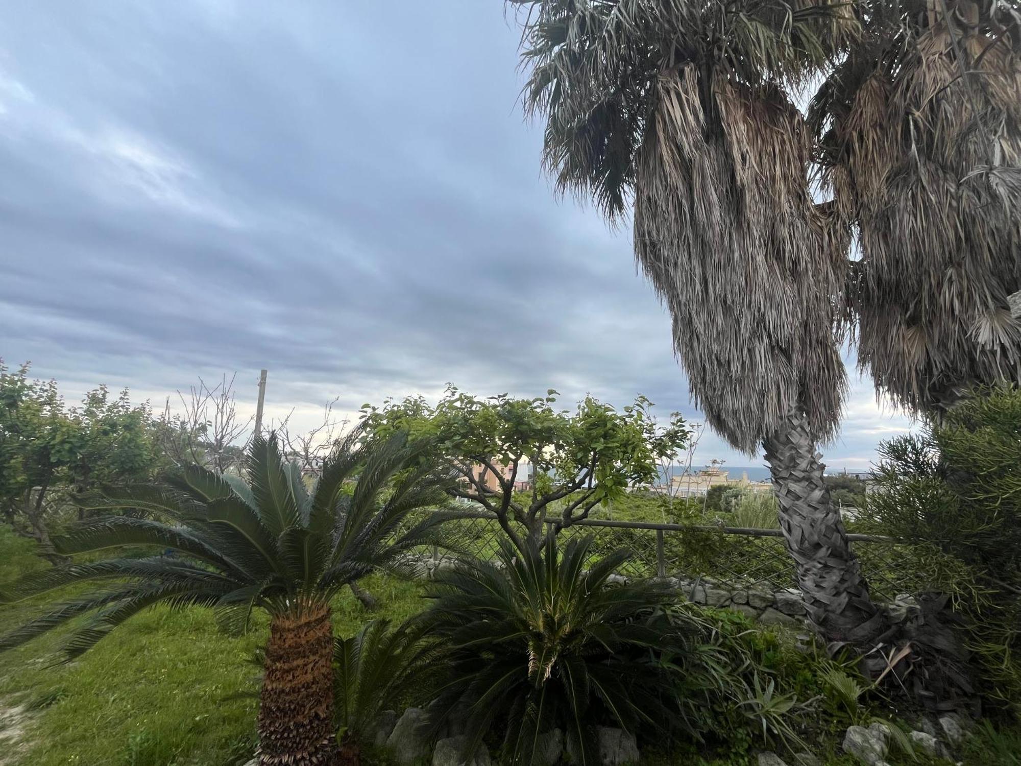 Villa Symphony Sea View Forio di Ischia Exteriér fotografie