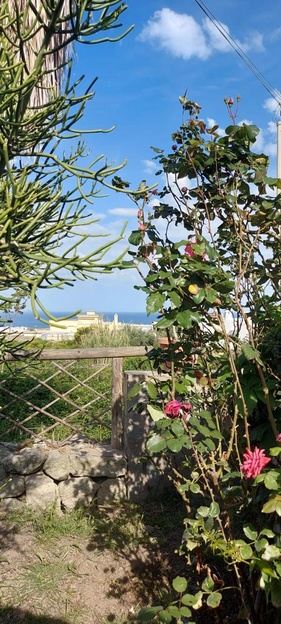 Villa Symphony Sea View Forio di Ischia Exteriér fotografie