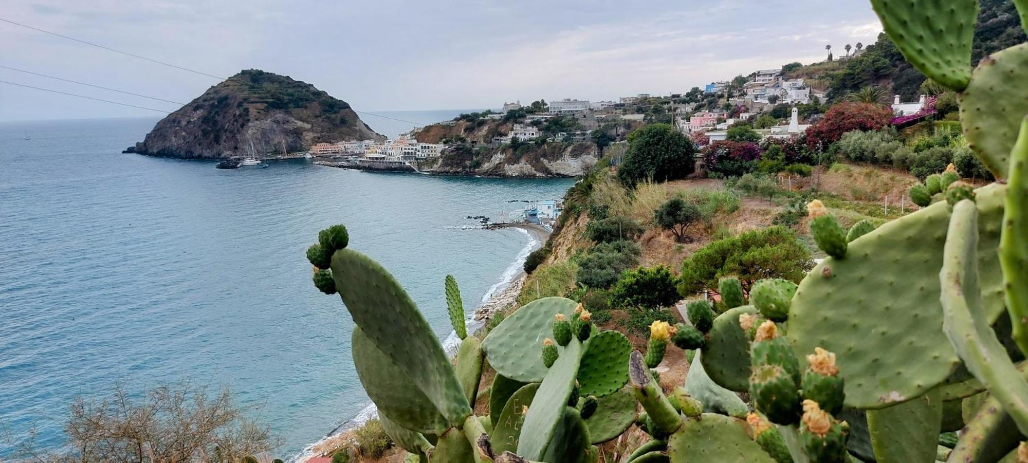 Villa Symphony Sea View Forio di Ischia Exteriér fotografie